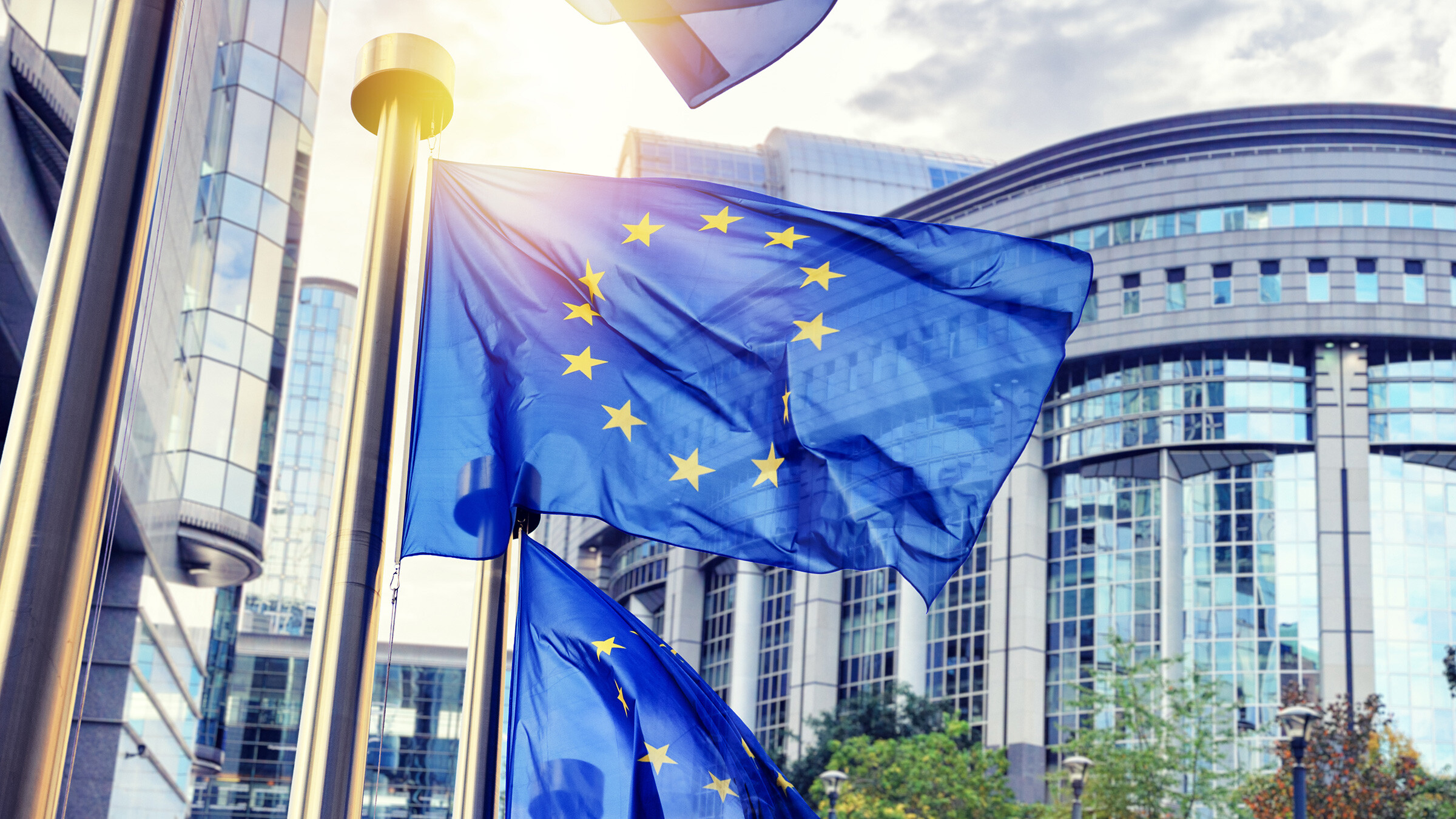 European flags in front of a parliament building